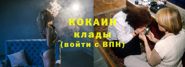 гашик Балахна