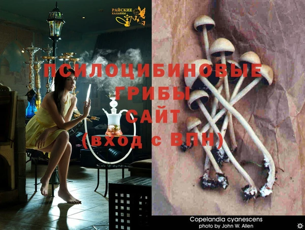 гашик Балахна