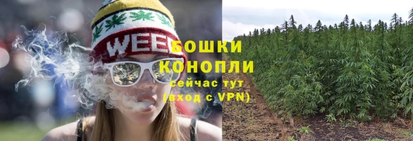 гидра Баксан