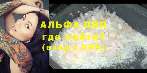 гашик Балахна