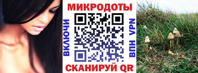 Галлюциногенные грибы Cubensis  omg ссылки  Лениногорск  закладка 
